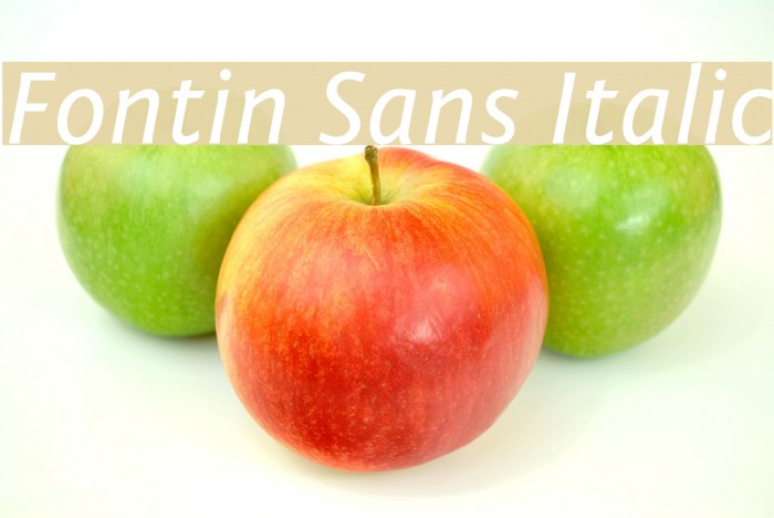 Fontin Sans Italic Font examples