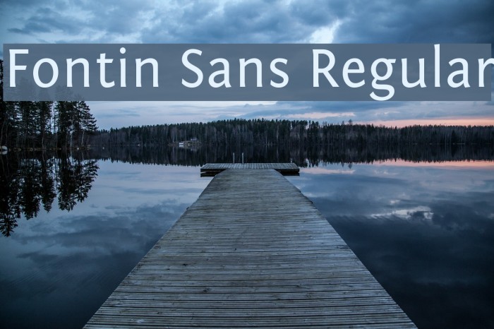 Fontin Sans Regular Font examples
