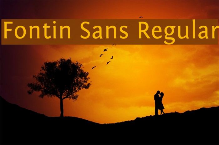 Fontin Sans Regular Font examples
