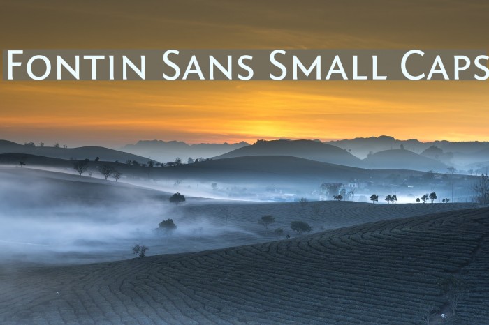 Fontin Sans Small Caps Font examples