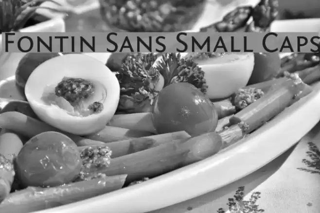 Fontin Sans Small Caps Font examples