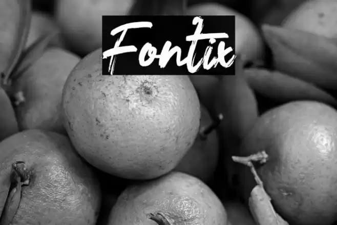 Fontix Font examples