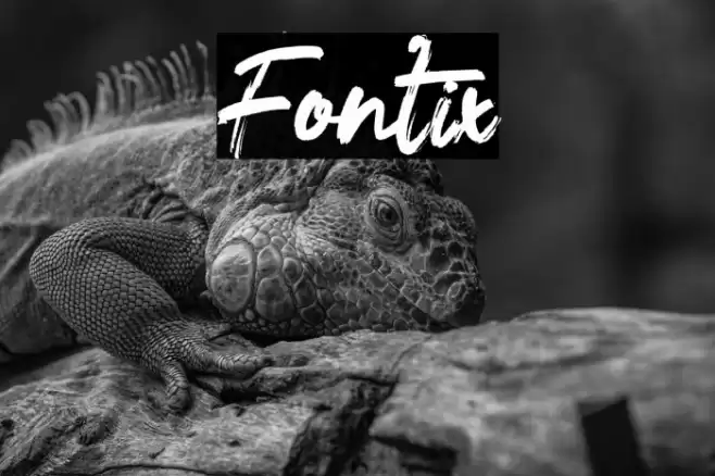 Fontix Font examples