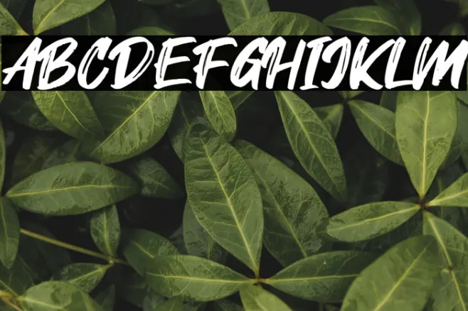 Fontjek Example 1