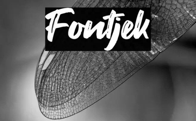 Fontjek Font examples