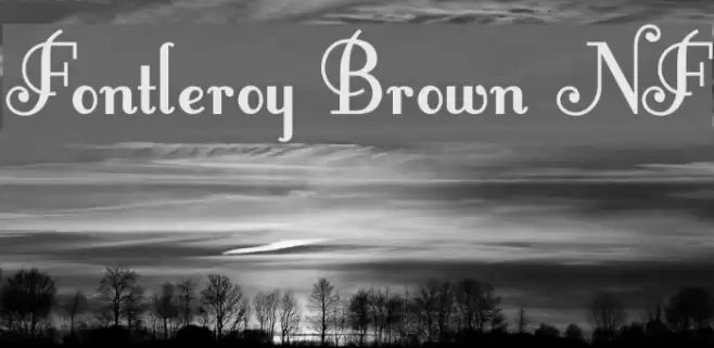 Fontleroy Brown NF Polices examples