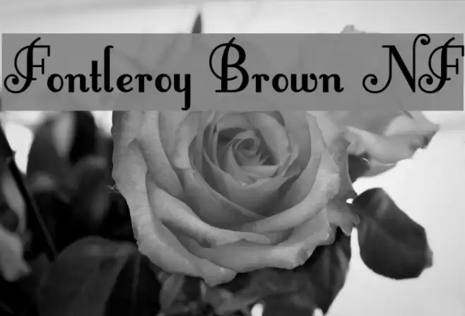 Fontleroy Brown NF Polices examples