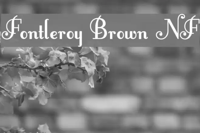 Fontleroy Brown NF Polices examples