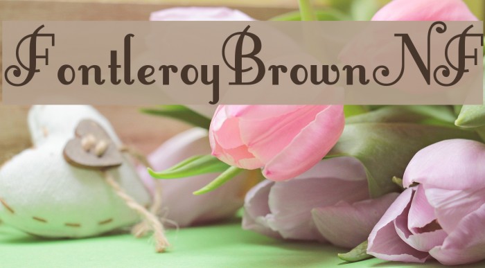 FontleroyBrownNF Font examples