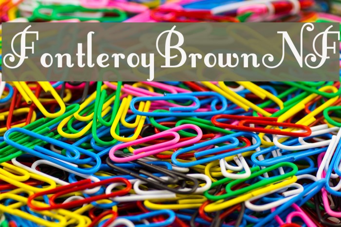 FontleroyBrownNF Font examples