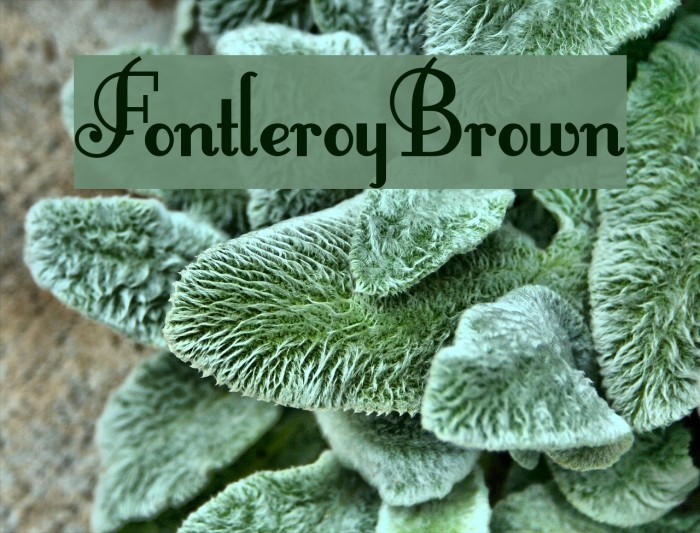 FontleroyBrown Polices examples