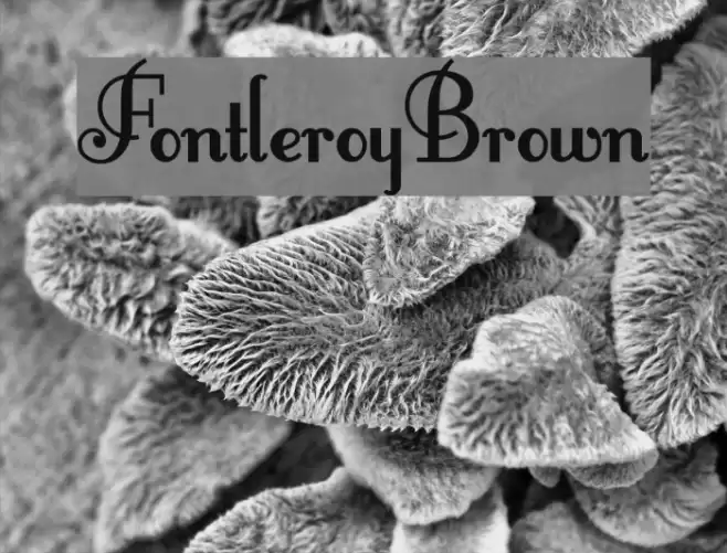 FontleroyBrown Polices examples