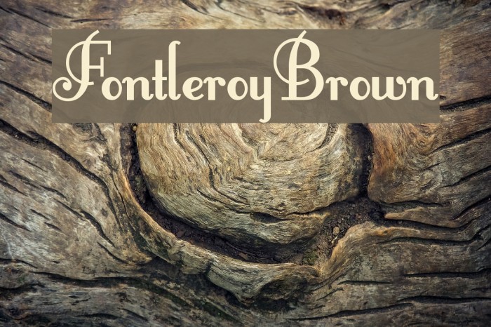 FontleroyBrown Polices examples