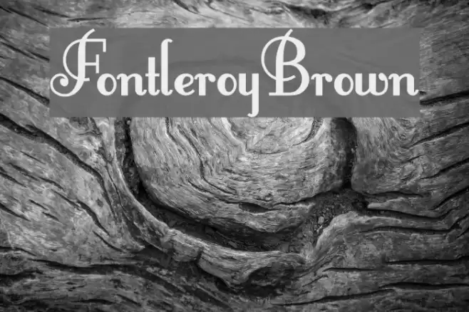 FontleroyBrown Polices examples