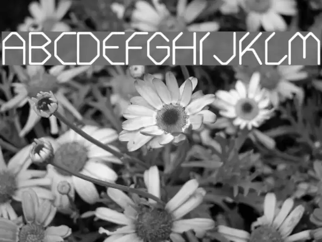 Fontmaker Slash Font examples