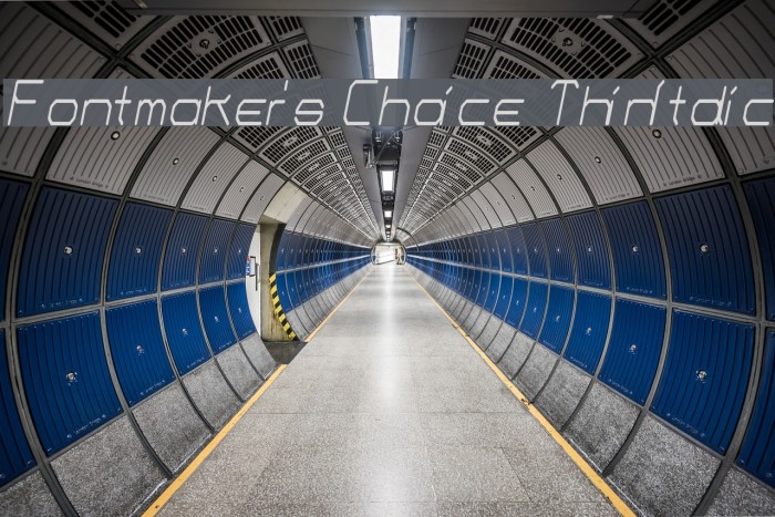 Fontmaker's Choice ThinItalic Polices examples