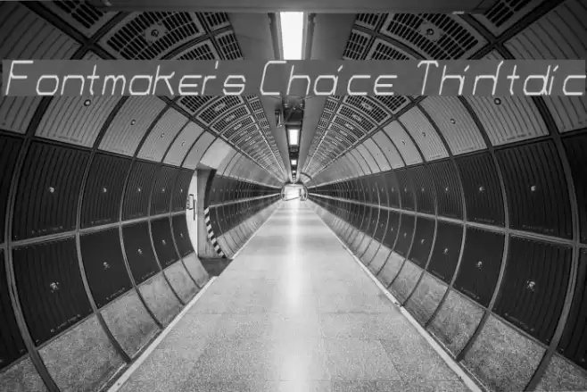 Fontmaker's Choice ThinItalic Font examples