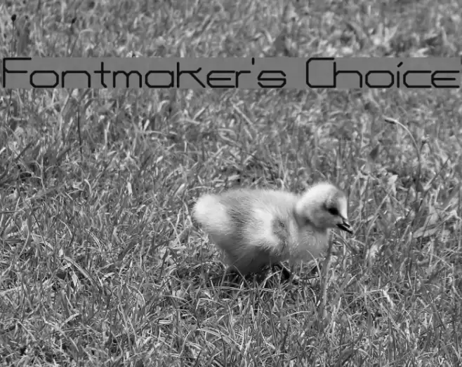 Fontmaker's Choice Font examples