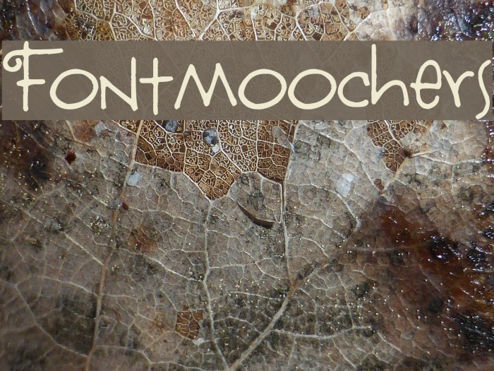 Fontmoochers Font examples