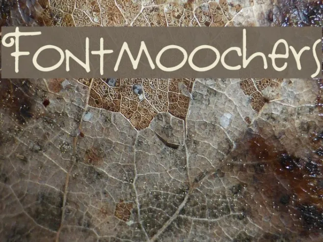 Fontmoochers Example 1