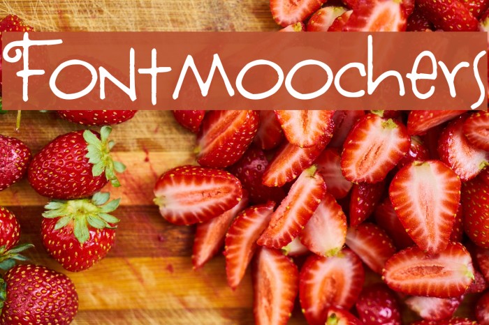 Fontmoochers Font examples