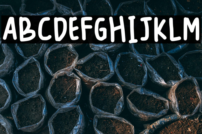 Fontnya Chelsea Regular Example 1