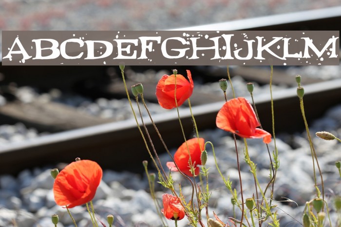 Fontocide Font examples