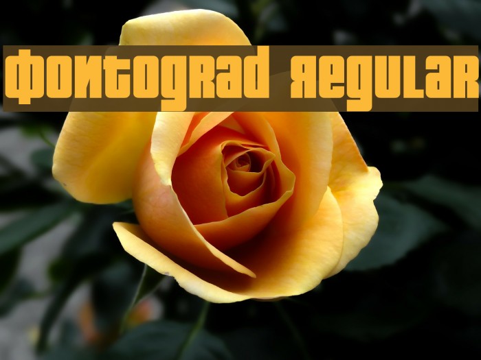Fontograd Regular Font examples