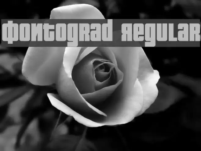 Fontograd Regular Font examples