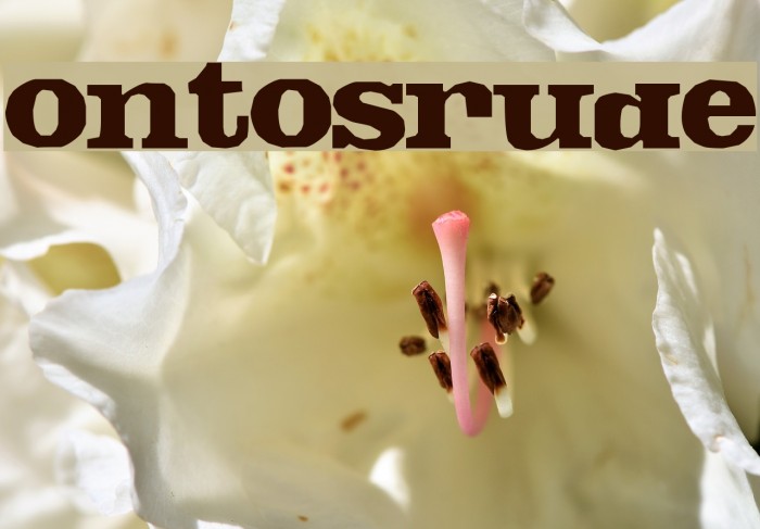 FontosCrude Polices examples