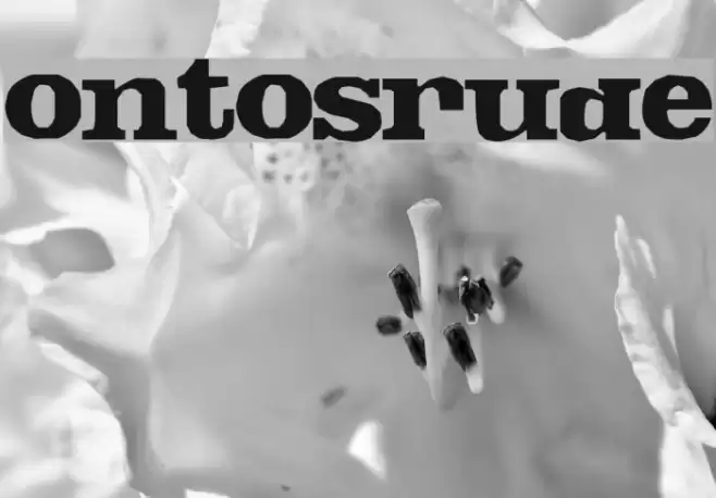 FontosCrude Font examples