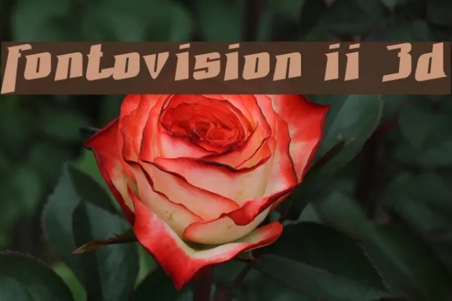 Fontovision II 3D Example 3