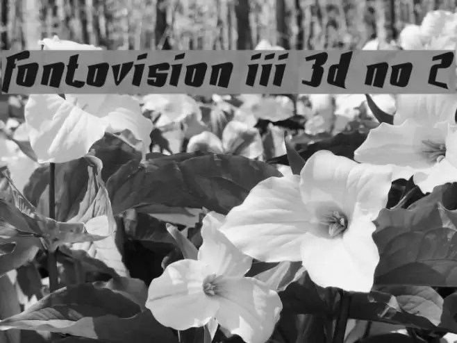 Fontovision III 3D no 2 Font examples