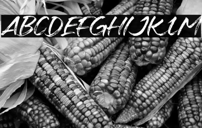 Fontrue Font examples