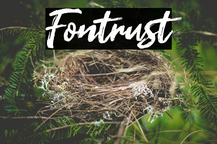 Fontrust Font examples