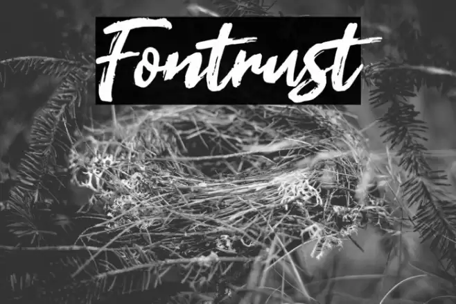 Fontrust Fuentes examples