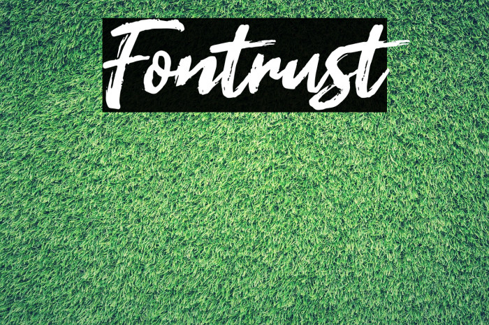 Fontrust Font examples