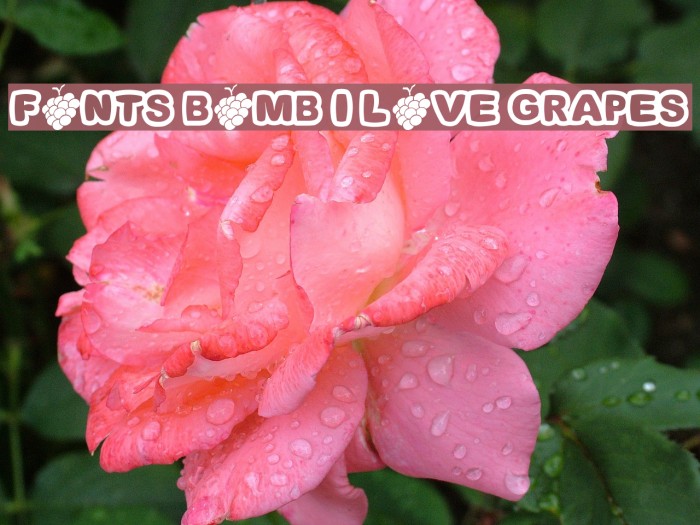 Fonts Bomb I love grapes Font examples