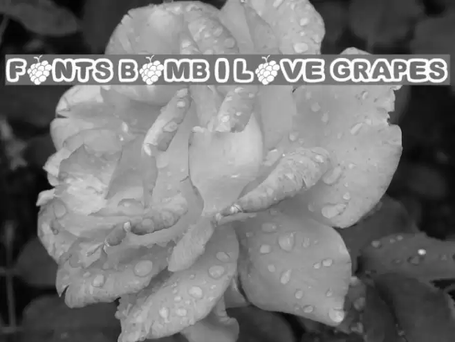 Fonts Bomb I love grapes フォント examples