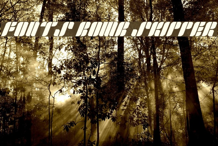 Fonts Bomb Skipper Example 3