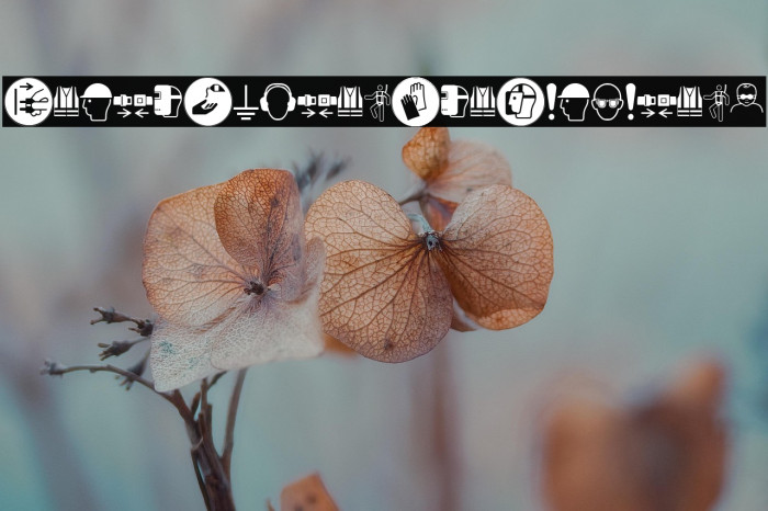 FontsVectorIso7010Mandatory Example 1