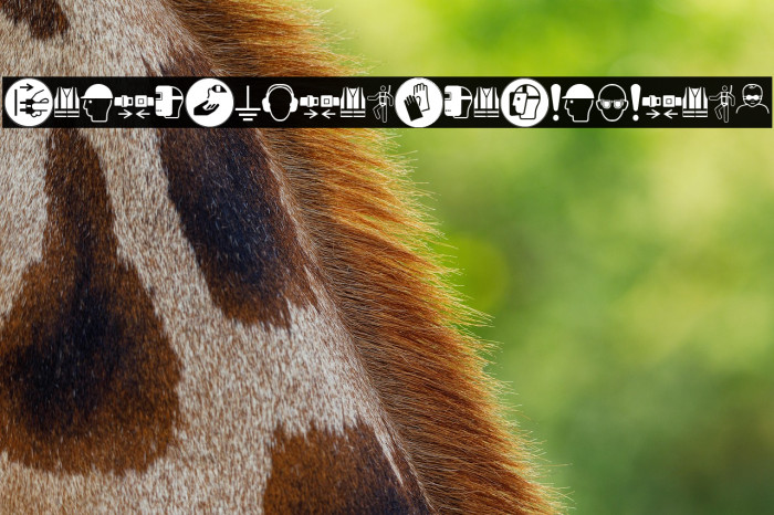 FontsVectorIso7010Mandatory Example 2