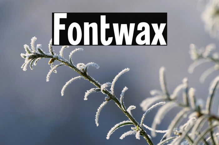 Fontwax Example 3
