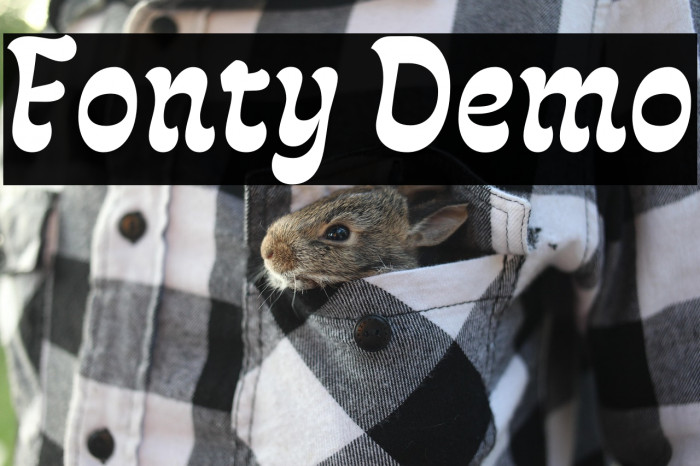 Fonty Demo Example 3