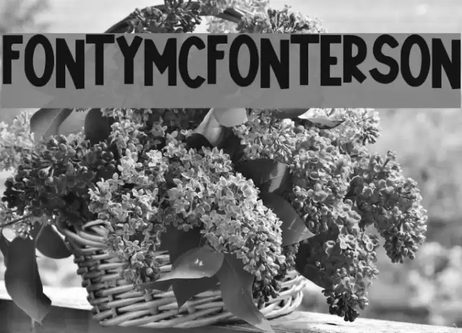 Fonty_McFonterson Font examples