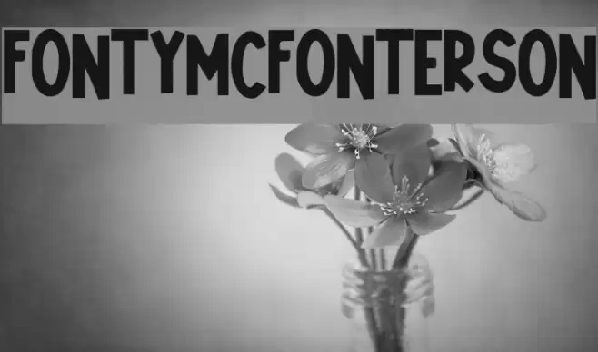 Fonty_McFonterson Font examples