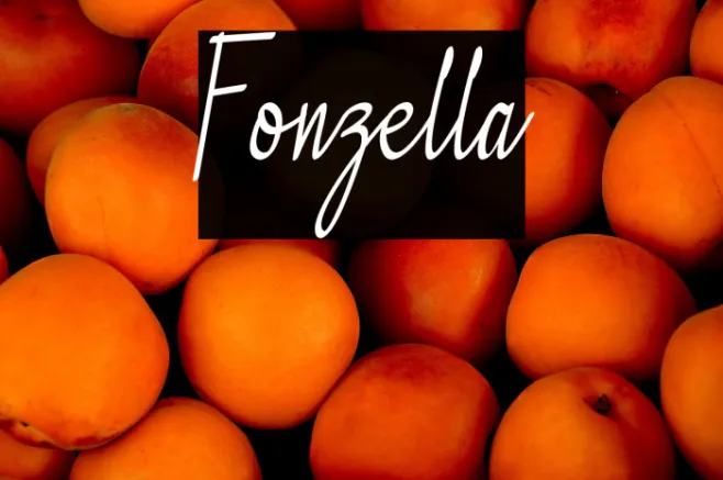 Fonzella Example 1