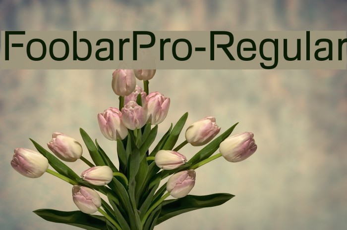 FoobarPro-Regular Caratteri examples