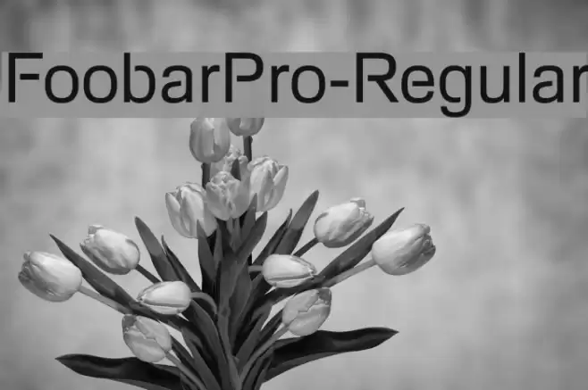 FoobarPro-Regular Font examples
