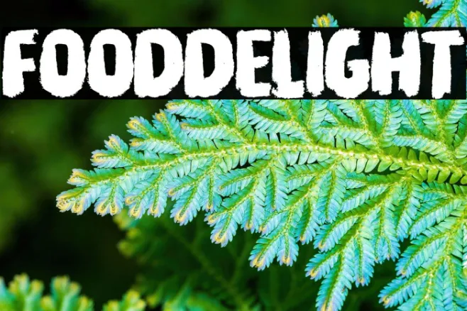 Food Delight Example 1